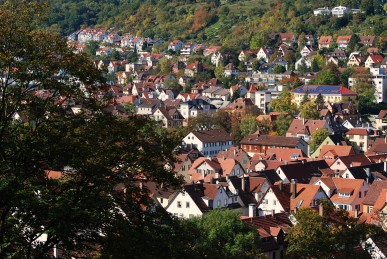 Aussicht auf Tübingen